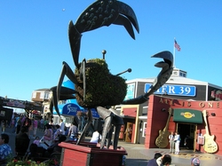 San Francisco : Pier 39 - Le Crabe