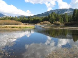 Yosemite : Tuolumne Meadows