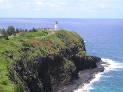 Kau : Kilauea Point