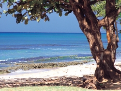 Mau : Plage typique