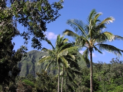 Oahu : Paysage
