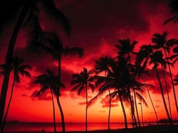 Oahu : Sunset
