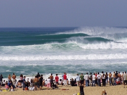 Oahu : Vagues