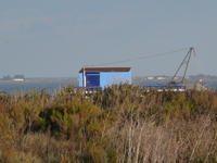 Maris d'Olron : Cabane (TAD)