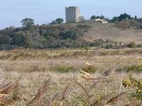 Marais Tour de Broue (TAD)