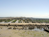 Parc  Huitres