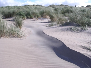 Dunes avec des oyats