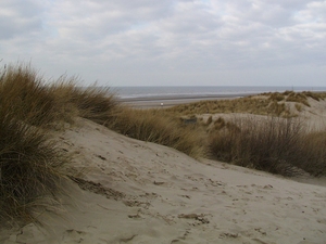 Dunes