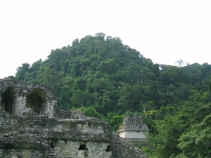 Palenque : Temple