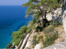 Capri : Via Krupp