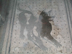 Pompe : Cave Canem