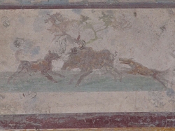 Pompe : Chasse au Sanglier