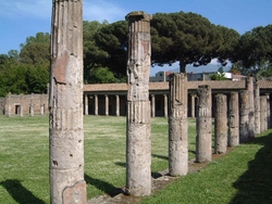 Pompe : Palestre