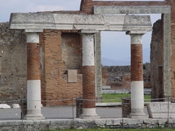 Pompe : Forum