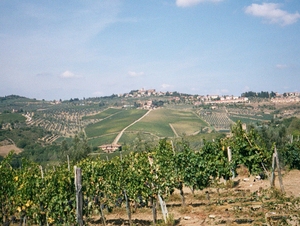 San Gimigniano : Paysage