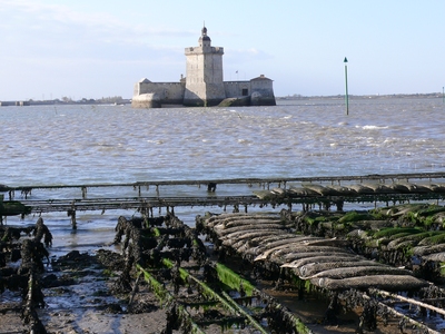 Fort du Chapus ou Fort Louvois